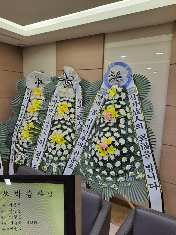 업로드 이미지
