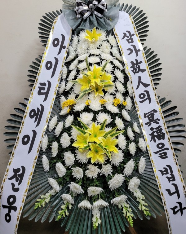 업로드 이미지