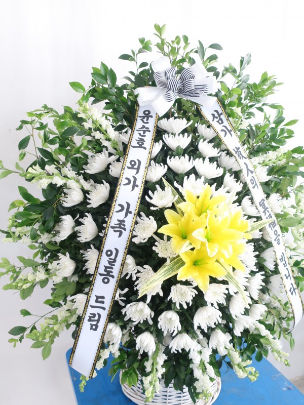 업로드 이미지