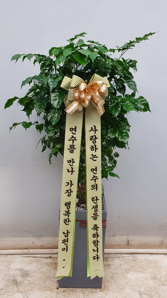 업로드 이미지