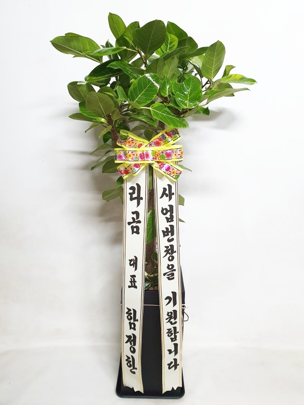 업로드 이미지