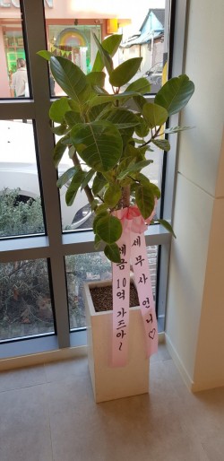 배송사진