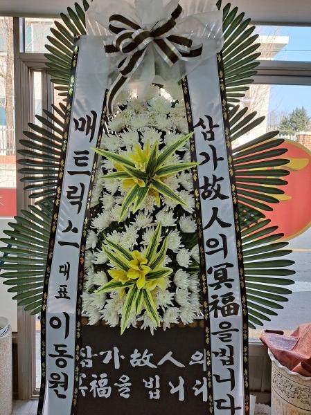 업로드 이미지