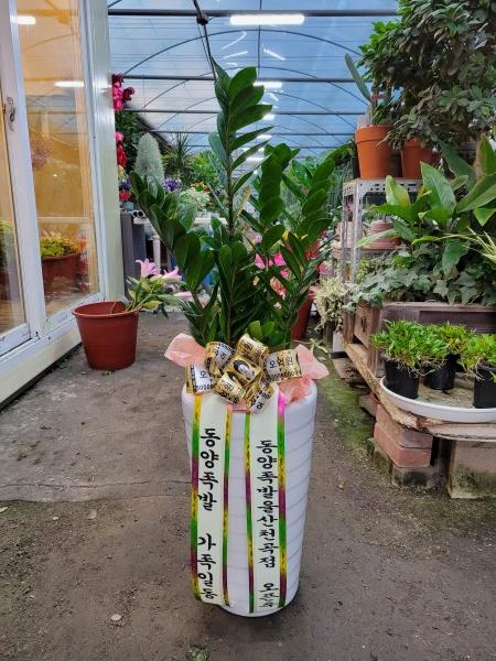 업로드 이미지