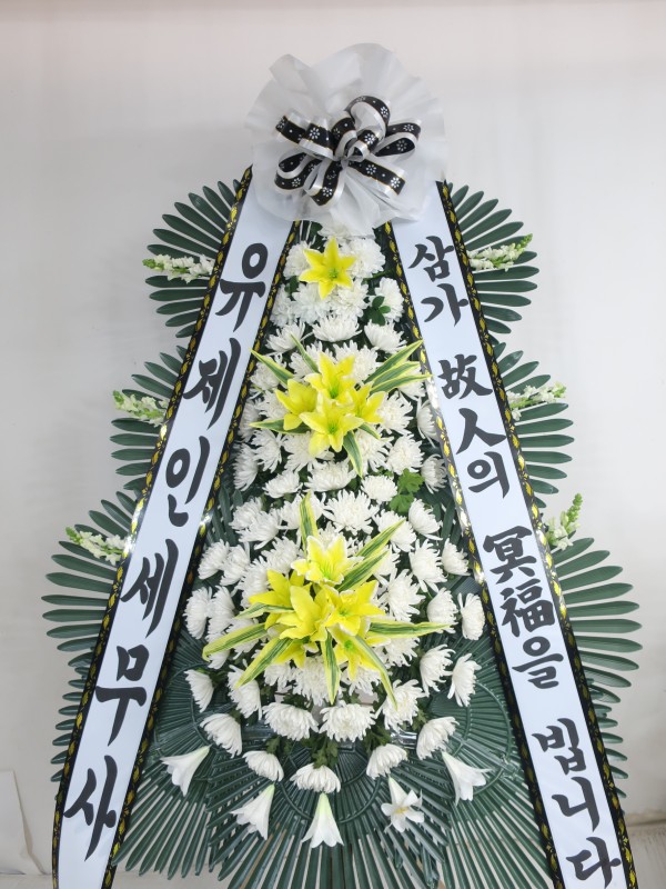 업로드 이미지