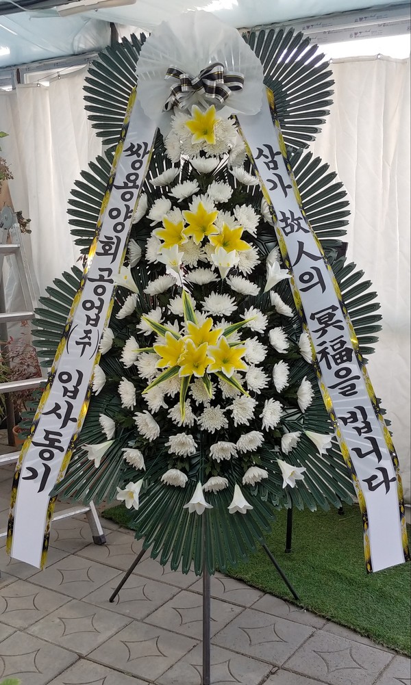 업로드 이미지