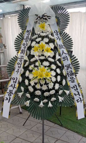 배송사진