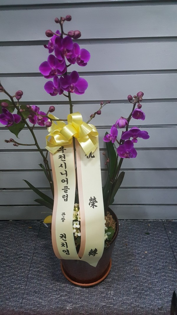 업로드 이미지