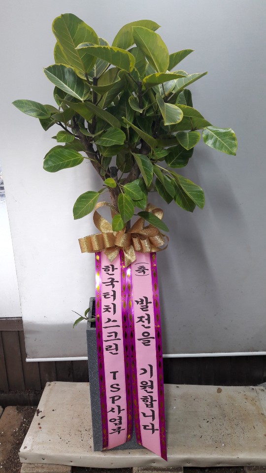 업로드 이미지