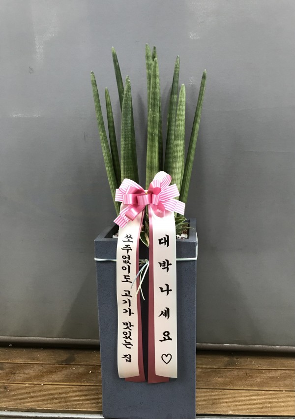 업로드 이미지