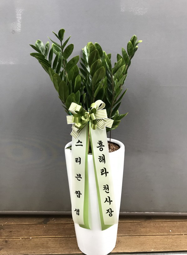업로드 이미지