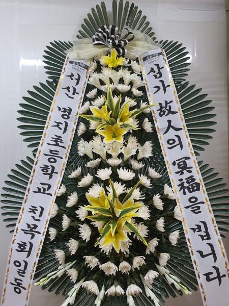 업로드 이미지