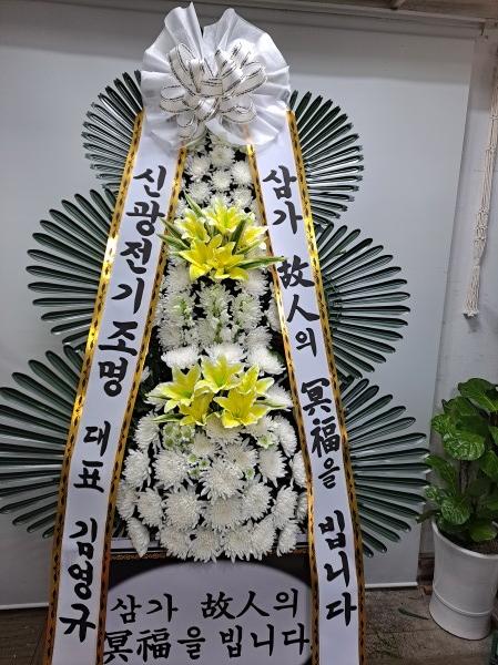 업로드 이미지