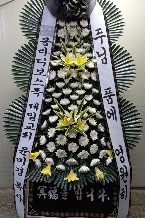 업로드 이미지