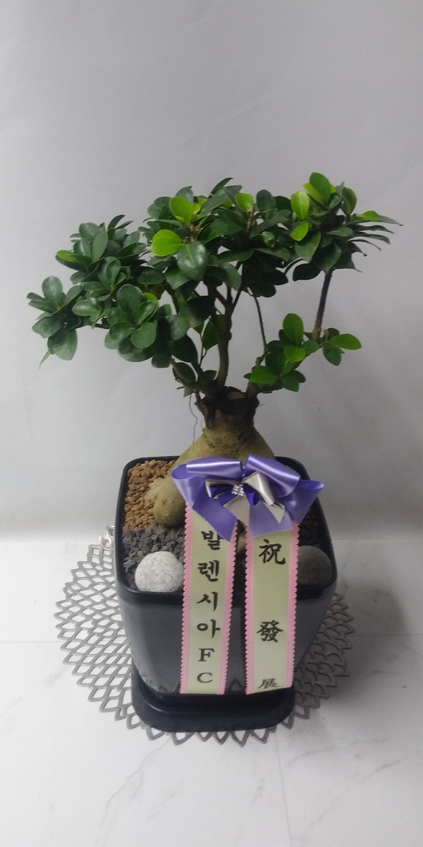 업로드 이미지