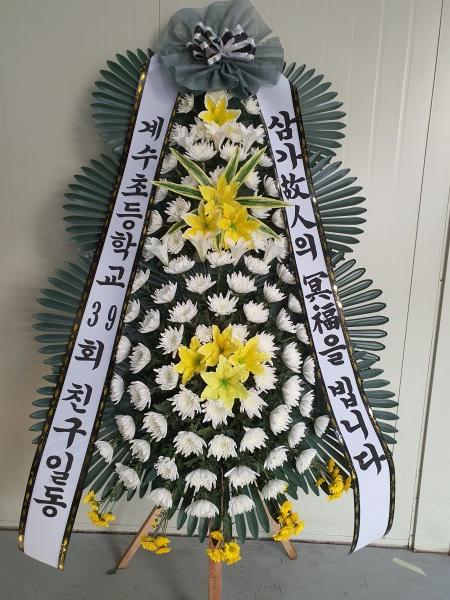 업로드 이미지