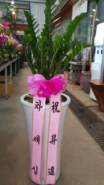 업로드 이미지