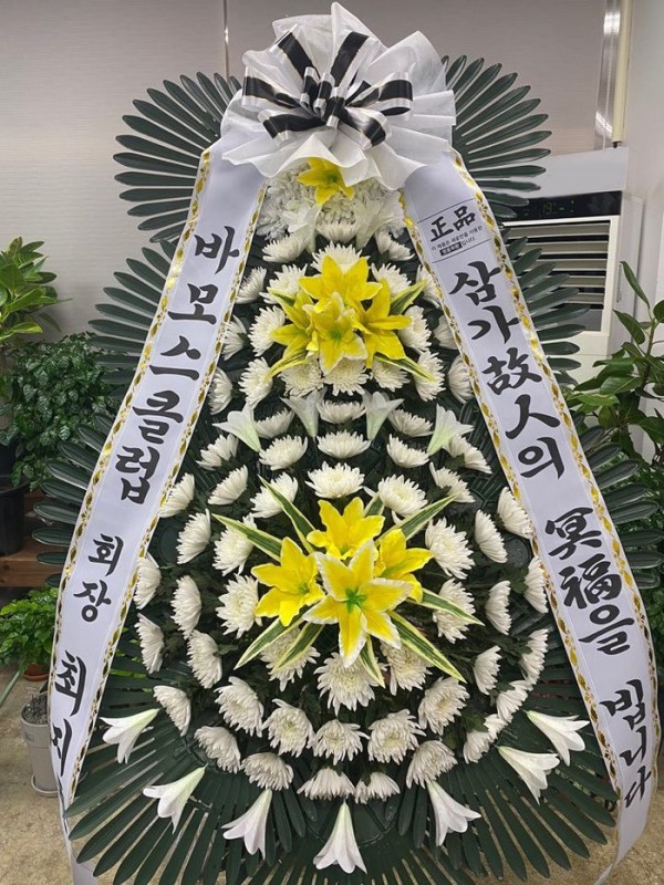 업로드 이미지