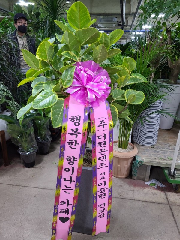 업로드 이미지