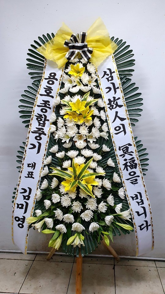 업로드 이미지
