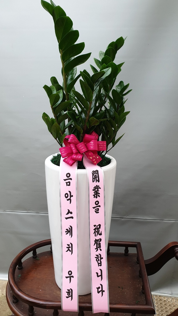 업로드 이미지