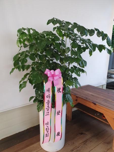 업로드 이미지
