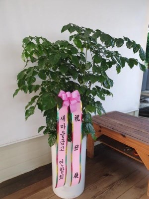 배송사진