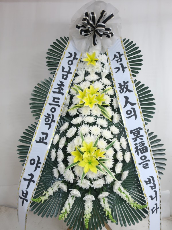 업로드 이미지