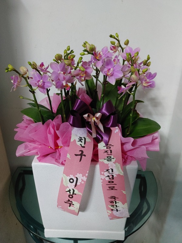 업로드 이미지