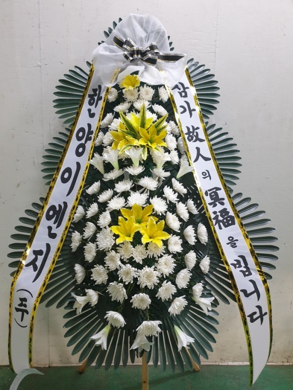 업로드 이미지