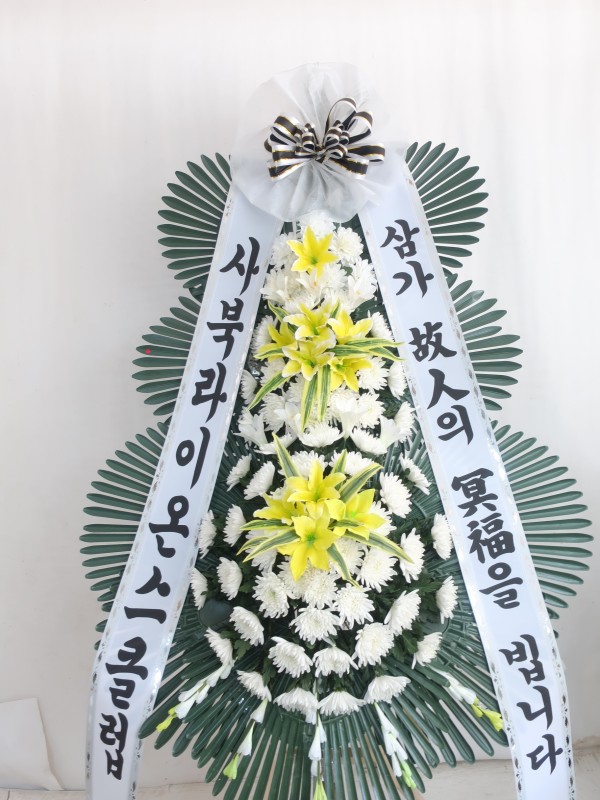 업로드 이미지