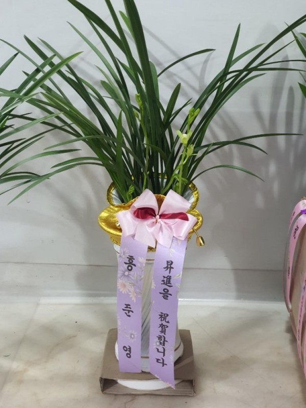 업로드 이미지