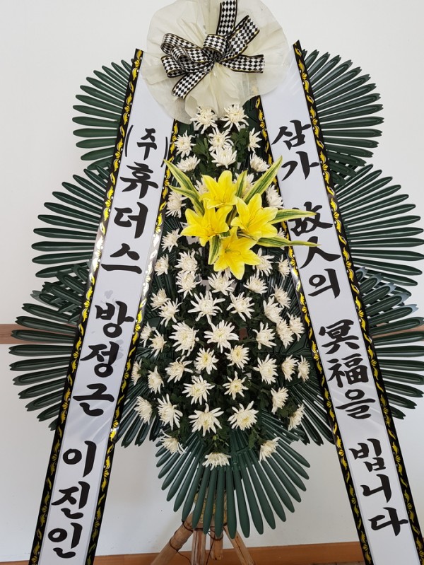 업로드 이미지