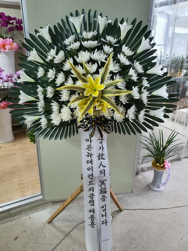 업로드 이미지