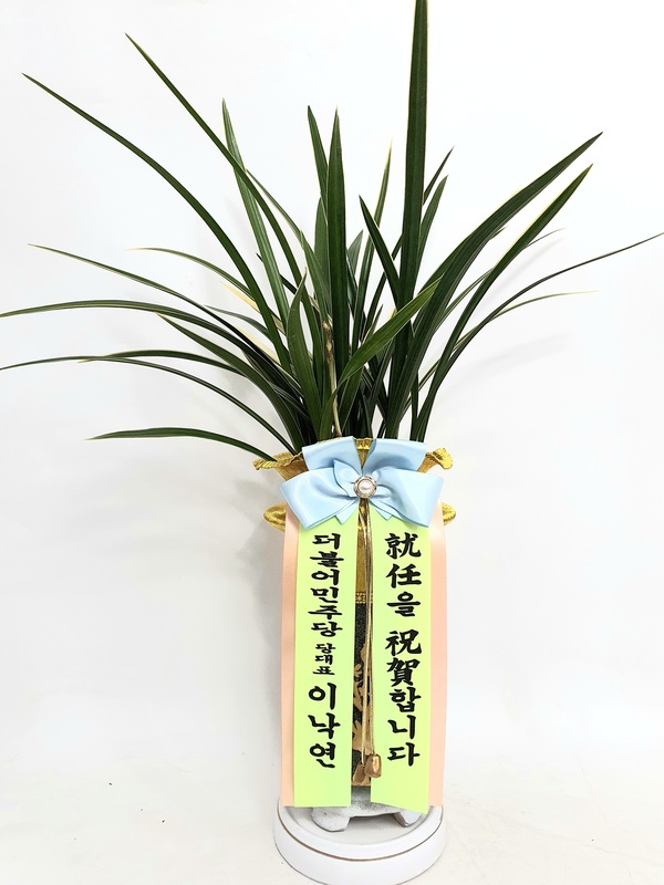업로드 이미지