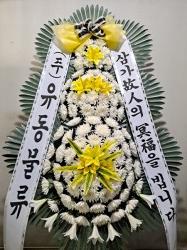 업로드 이미지