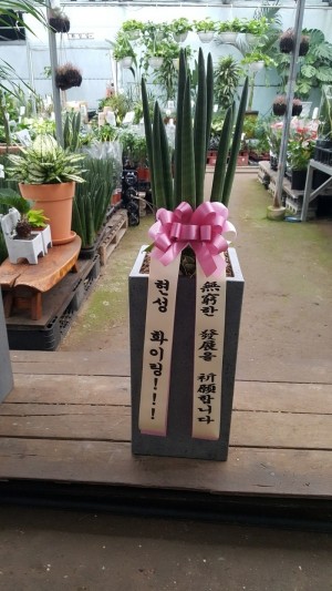 배송사진