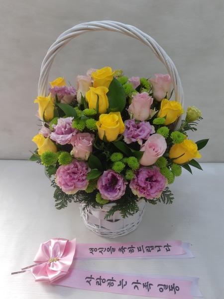 업로드 이미지