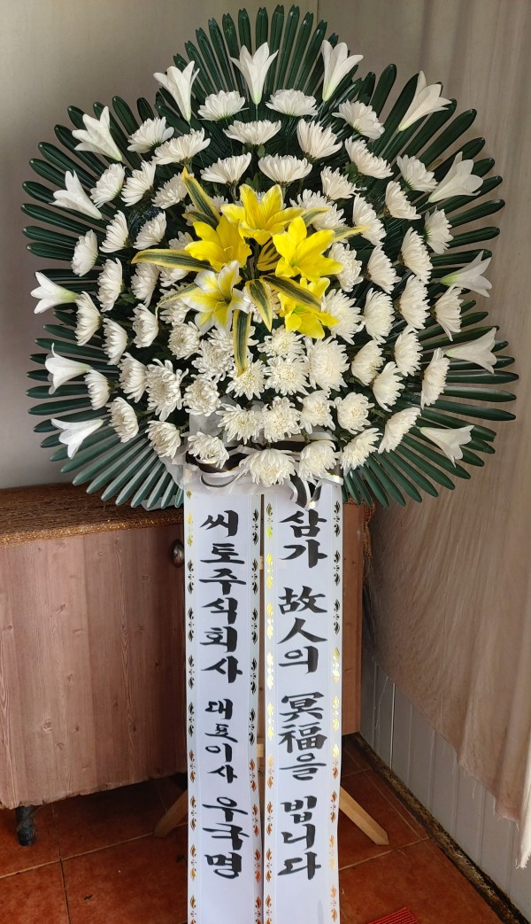 업로드 이미지