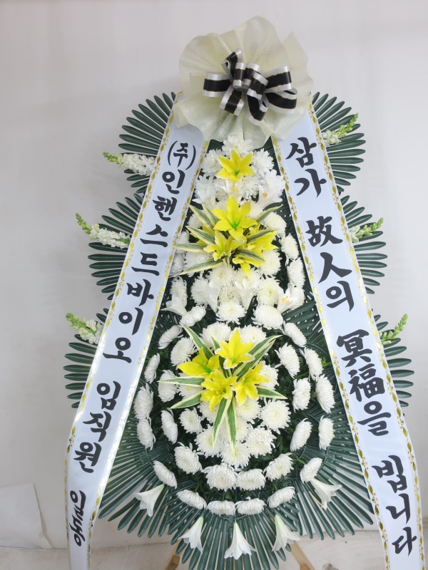 업로드 이미지
