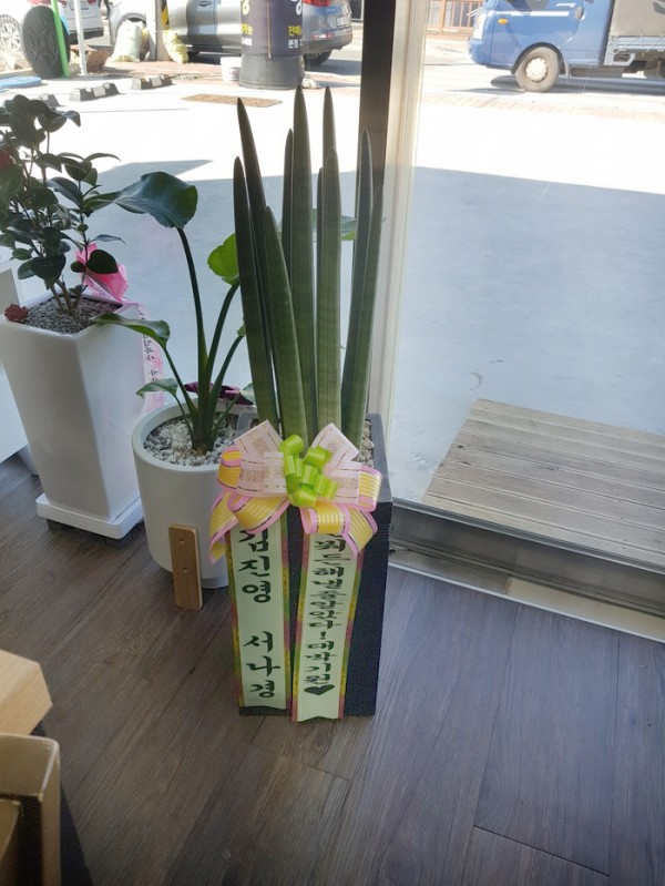 업로드 이미지