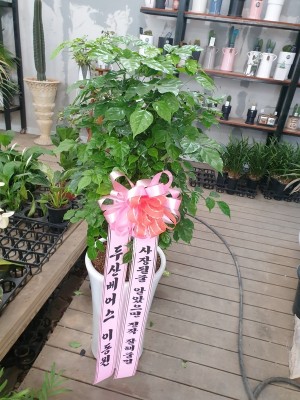 배송사진