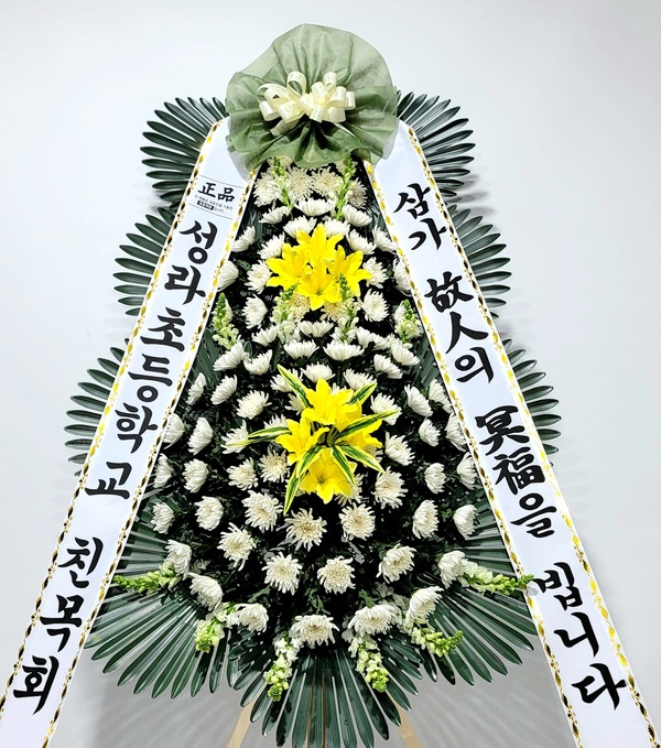 업로드 이미지