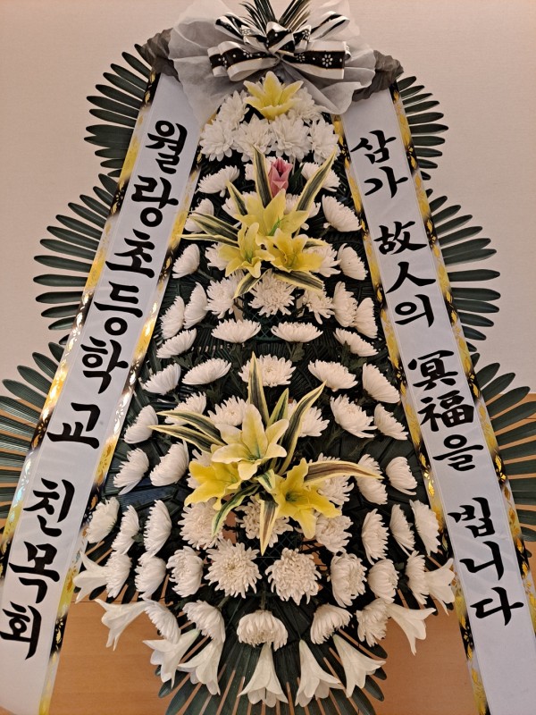 업로드 이미지