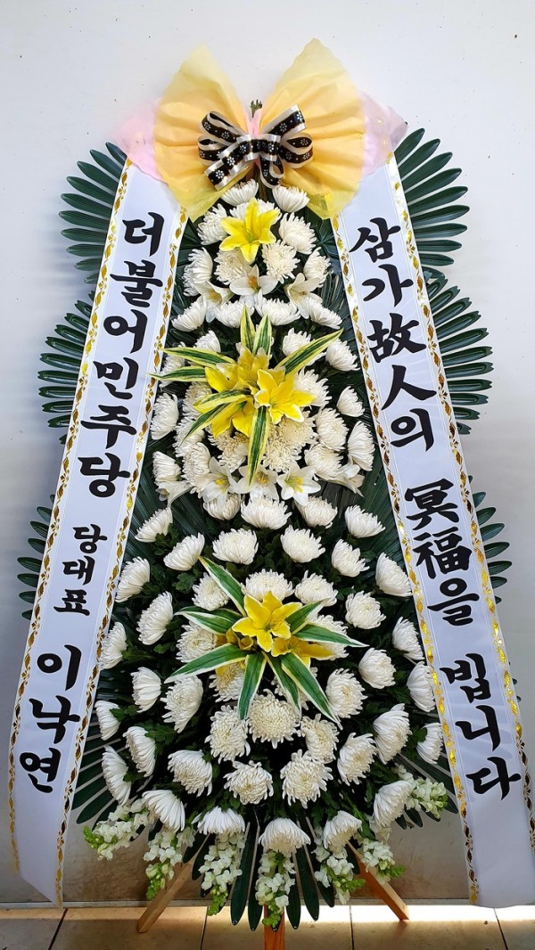업로드 이미지