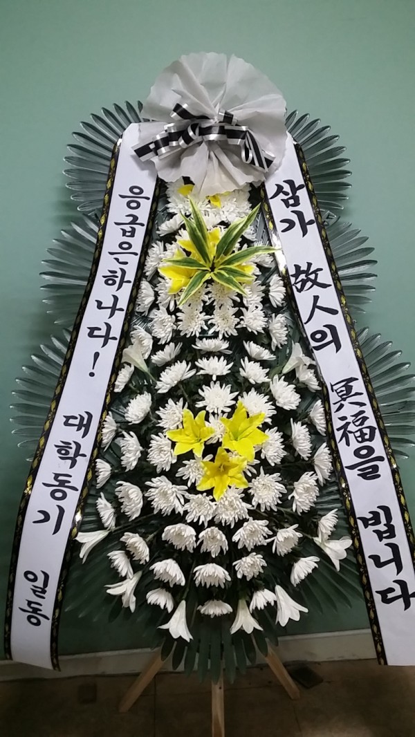 업로드 이미지