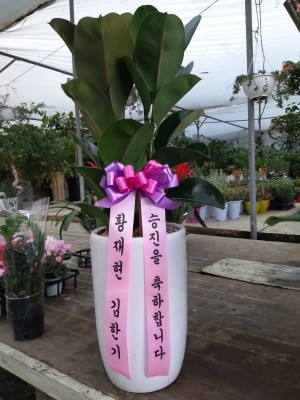 배송사진