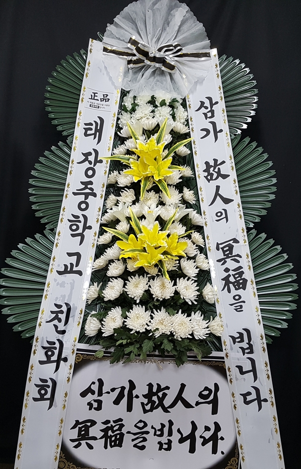 업로드 이미지