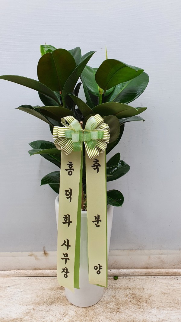 업로드 이미지