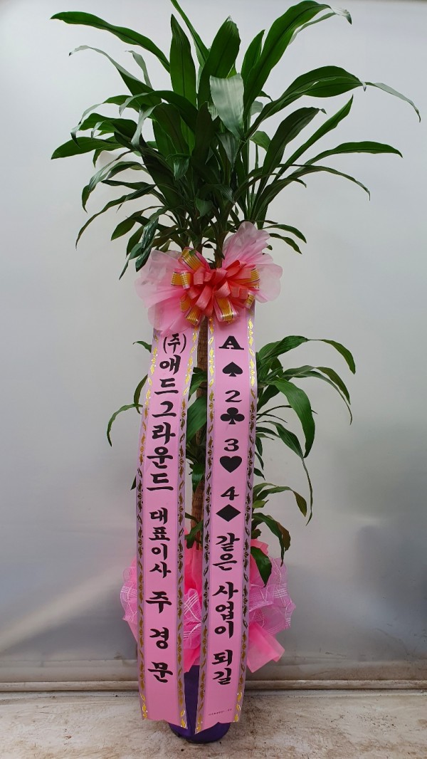 업로드 이미지